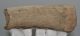 Alces cf. latifrons partial antler (137 mm)