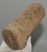 Alces cf. latifrons partial antler (137 mm)
