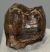 Prodeinotheriom bavaricum upper (P4) tooth