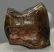 Prodeinotheriom bavaricum upper (P4) tooth