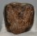 Prodeinotheriom bavaricum upper (P4) tooth