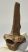  Equus sp. partial vertebra