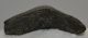  Otodus megalodon shark tooth from Florida (86 mm)