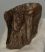 Mammuthus meridionalis tooth (224 grams) Southern Mammoth