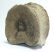 Mammuthus meridionalis részleges hát csigolya (2980 gramm)