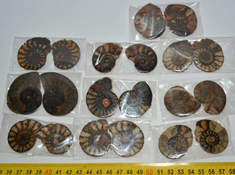 10 pairs of hematite ammonites from Morocco (217 grams)