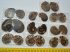 10 pairs of hematite ammonites from Morocco (217 grams)