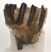 Mammuthus meridionalis részleges fog (759 gramm) ELFOGYOTT (M) 06