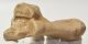 Equus sp. calcaneus bone 