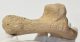 Equus sp. calcaneus bone 