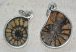 4 hematite ammonite pendants