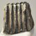 Mammuthus meridionalis partial tooth (1206 grams) SOLD (E) 10 Mammuthus meridionalis partial tooth (1206 grams) SOLD (E) 10
