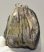 Mammuthus meridionalis partial tooth (1206 grams) SOLD (E) 10 Mammuthus meridionalis partial tooth (1206 grams) SOLD (E) 10