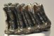 Mammuthus meridionalis partial tooth (1206 grams) SOLD (E) 10 Mammuthus meridionalis partial tooth (1206 grams) SOLD (E) 10