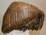 Mammuthus primigenius tooth (5040 grams) Woolly mammoth molar