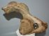 Mammuthus sp. partial atlas vertebra (321 mm) SOLD (JA) 01