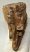 Mammuthus primigenius tooth (1134 grams) Woolly mammoth