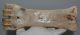 Bison priscus metacarpus bone (247 mm)