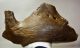 Mammuthus primigenius partial jaw bone (378 mm)