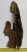 Fiatal gyapjas orrszarvú állkapocs töredége Coelodonta antiquitatis