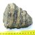 Mammuthus meridionalis részleges fog (729 gramm)