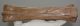 Equus sp. metacarpus bone (237 mm)