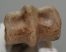 Equus sp. metacarpus bone (237 mm)