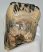 Mammuthus meridionalis partial tooth (615 grams)