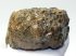 Mammuthus meridionalis részleges fog (898 gramm)