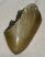 Otodus megalodon partial shark tooth (41 mm) SOLD (KSE) 07