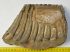 Mammuthus meridionalis partial tooth (4108 grams)