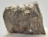 Mammuthus primigenius partial tooth (883 grams) SOLD (E) 10