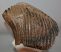 Mammuthus primigenius tooth (4234 grams) Mammuthus primigenius tooth (4234 grams)