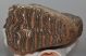 Mammuthus primigenius tooth (4234 grams) Mammuthus primigenius tooth (4234 grams)
