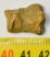 Ursus spelaeus toe bone (23 mm)