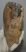 Mammuthus primigenius tooth (1385 grams) Mammuthus primigenius tooth (1385 grams)