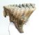 Mammuthus primigenius fog (947 gramm) gyapjas mamut  ELFOGYOTT (LL B) 06