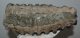 Mammuthus meridionalis partial tooth (4281 grams) Mammuthus meridionalis partial tooth (4281 grams)