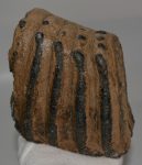 Mammuthus meridionalis részleges fog (1831 gramm)