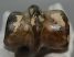 Equus sp. metatarsal bone (293 mm)