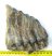 Mammuthus sp. partial tooth (1316 grams)