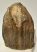 Mammuthus meridionalis partial tooth Southern mammoth (1150 grams)