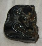 Stephanorhinus etruscus partial upper tooth SOLD (M) 06
