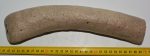 Alces latifrons partial antler (288 mm)