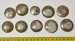 10 polished ammonite pendants (101 grams)