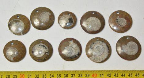 10 polished ammonite pendants (101 grams)