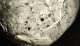 Pirit kristályos Galeola senonensis tengeri sün kövület