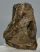 Mammuthus meridionalis részleges fog (1061 gramm) ELFOGYOTT (EB) 08