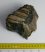 Mammuthus meridionalis tooth (730 grams) Southern mammoth molar