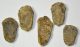 5 pc Calymene trilobites from Morocco SOLD (JA) 12